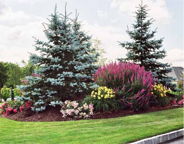 Landscape Architecture 14